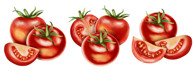 Set of tomatoes. Fresh tomato, watercolor, isolated on white background. Hand-drawn watercolor. Vegetables. Ideal for brand packaging design, corporate identity, eco-products, agriculture, menu
