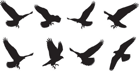 Flying bird silhouettes, raptor wings in motion, eagle hawk flight poses, black vector birds, dynamic avian shapes, wildlife illustration set