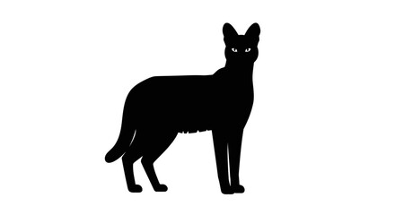 Striking silhouette of a german shepherd dog standing proudly full body view