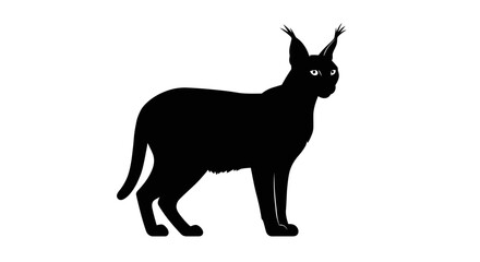 Silhouette of a majestic wild cat with pointed ears standing alert and watchful
