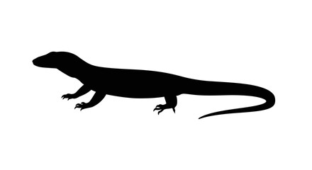 Silhouette of a monitor lizard walking on a reptile wildlife animal