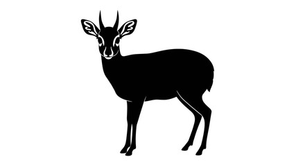 Obraz premium Elegant silhouette of a dik-dik antelope standing gracefully isolated graphic art