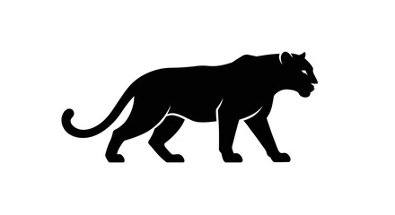 Majestic black panther silhouette walking gracefully powerful predator wild cat animal