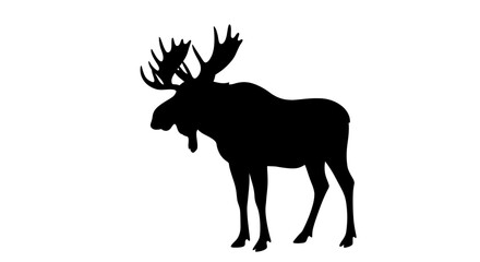Majestic silhouette of a moose with antlers standing proudly in a natural setting