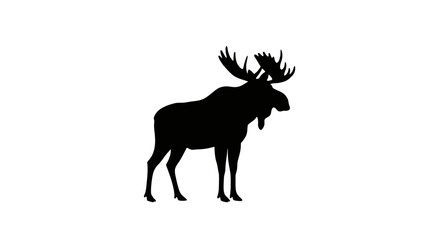 Majestic silhouette of a moose with large antlers standing proudly in wilderness wildlife