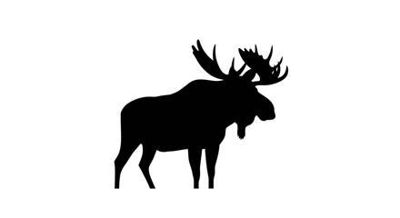 Majestic silhouette of a powerful moose with antlers standing proudly in nature