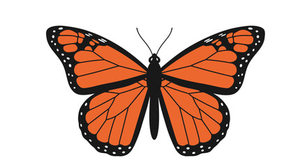 Beautiful monarch butterfly insect with orange wings detailed wings pattern nature wildlife