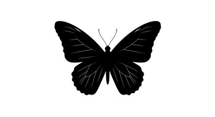 Silhouette of a detailed butterfly with intricate wing patterns for artistic projects and nature themes