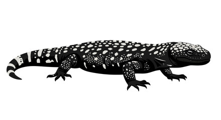 Detailed black and white gila monster lizard isolated on realistic reptile portrait