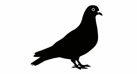 Silhouette of a black pigeon standing on a white surface with its beak open