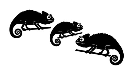 Three silhouettes of chameleons on branches ready for creative design projects