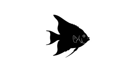 Silhouetted angelfish aquatic pet marine life underwater ocean tropical freshwater