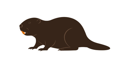Brown beaver rodent animal side profile isolated on cute wildlife illustration