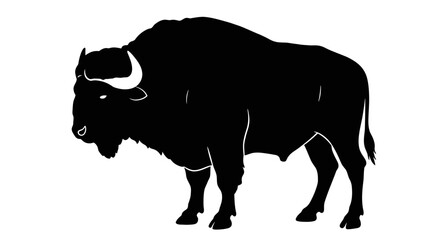 Majestic bison silhouette powerful wild animal standing proudly in a stark black form
