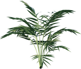 plant, leaf, isolated, rosemary, herb, nature, branch, tree, white, food, leaves, fresh, spice, herbal, ingredient, vector, twig, tropical, grass, dill, summer, bamboo, botany, palm, bush