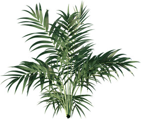 plant, leaf, isolated, rosemary, herb, nature, branch, tree, white, food, leaves, fresh, spice, herbal, ingredient, vector, twig, tropical, grass, dill, summer, bamboo, botany, palm, bush