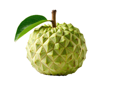 Close-up of a single, whole cherimoya fruit with a green, bumpy skin, a small green leaf attached, and a light brown stem