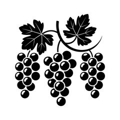 Obraz premium Elegant Grapevine Illustration with Leaves and Berries for Wine and Food Industry Designs and Artistic Projects Creates a Vintage and Sophisticated Feel