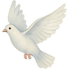 dove of peace