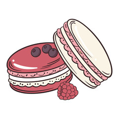 Vector illustration of a sweet macaron