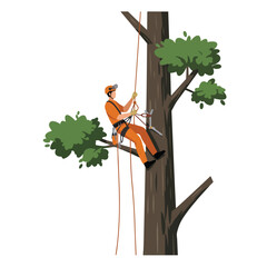 Tree surgeon in orange uniform climbing a tall tree using ropes and gear