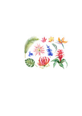 Watercolor vector set with tropical leaves and bright exotic flowers isolated on white background..ai