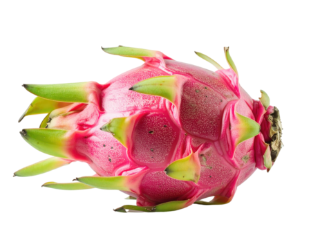Close-up of a vibrant pink dragon fruit, showing its spiky exterior and bright green tips