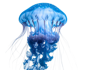 Adorable 3D Jellyfish in Light Blue with Detailed Tentacles PNG Transparent Background