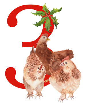Watercolor illustration of a red number 3 with three French hens, inspired by The Twelfth Day of Christmas. Charming festive artwork with traditional holiday spirit.