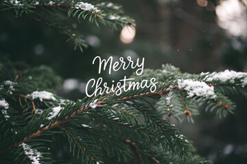 Evergreen Boughs with Snow and Holiday Greetings for a Winter Season Card