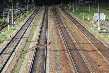 Fototapeta premium The picture presents railway lines vanishing into the unknown