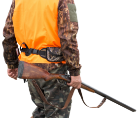 Hunting period, autumn season open. A hunter with a gun in his hands in hunting clothes in the autumn forest in search of a trophy. A man stands with weapons and hunting dogs tracking down the game.