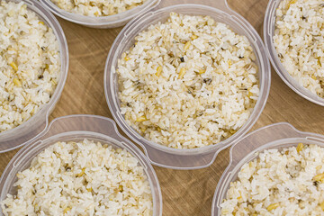 Barley mixed grain rice in a plastic container