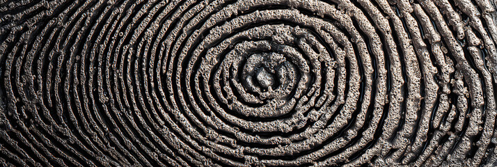 Obraz premium Exploring the Intricate Deails of Fingerprints: A Maro Perspective on the Uniqe Patterns and Characterisics of Human Identity