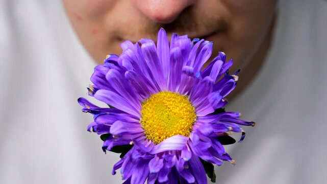 An allergy sufferer sniffs flowers against a black background.
Allergies to plants and flowers.
A purple aster in the hands of a florist.