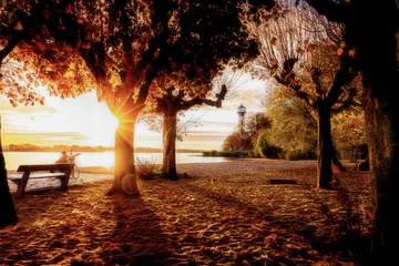 Relaxing on a bench  near the lighthouse of Hamburg Wittenberge in beautiful autumn sunlight © Annette Hanl