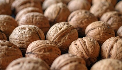 Close-up of many walnuts