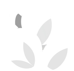 Minimalist White Cotton Bolls on Black Background abstract