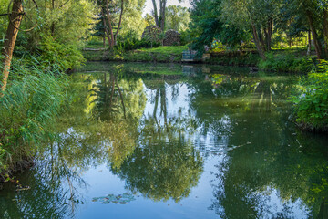 Tranquil forest pond with reflections of green trees and blue sky. Peaceful nature landscape ideal for relaxation, calmness, meditation