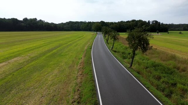 road in the countryside with green fields