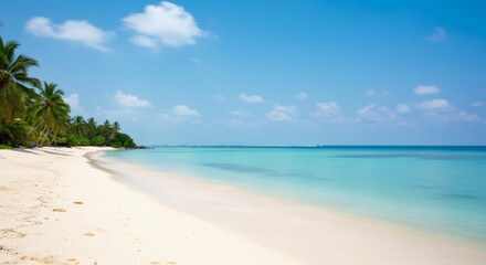 Naklejka premium A beautiful tropical beach scene with white sand, palm trees, and clear turquoise water under a blue sky.