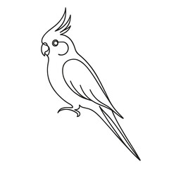 Fototapeta premium Outline of a cockatiel bird in simple artistic style on transparent background 