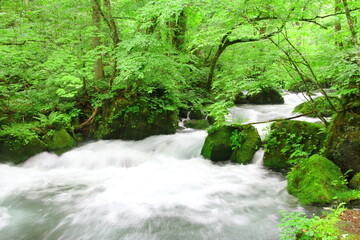 奥入瀬渓流（阿修羅の流れ）