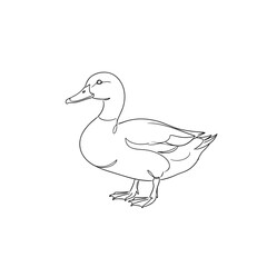 Obraz premium Simple line drawing of a duck standing on transparent background 
