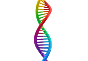 Abstract 3D rendering of a vibrant iridescent double helix dna strand with polished texture, twisting on a transparent background with copy space, concept of genetics and biotechnology