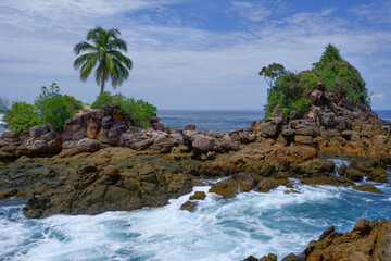 Rocky Tropical Coast with Palm Tree and Green Cliff