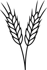 wheat plant vector illustration