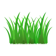 Bright Green Grass Tufts or Hummock Isolated on White Vector Illustration