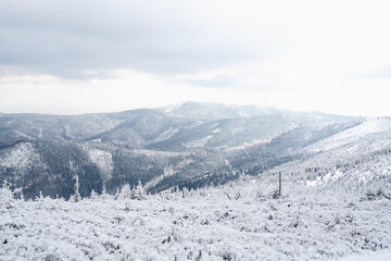 Obraz premium Winter mountain landscape of Beskids with Skrzyczne peak 