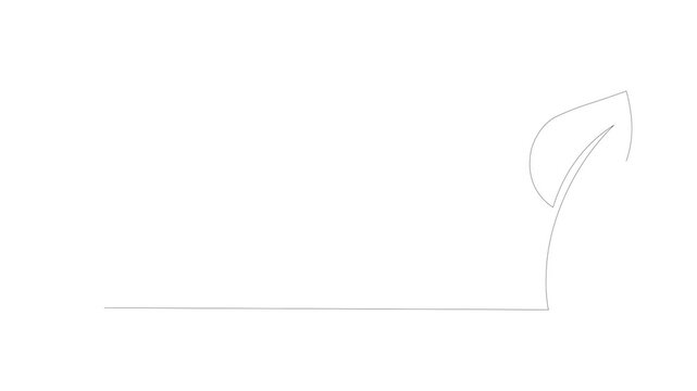 Green Leaves Animation &ndash; Continuous Single Line Drawing, Minimalist Botanical Monoline Illustration, Simple Contour Vector of Fresh Foliage on White Background for Eco, Nature, and Organic Concept